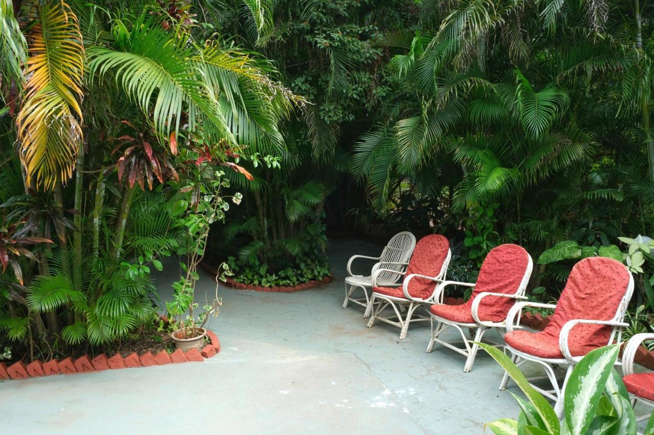 Palm Grove Cottages - Leisure Resort Benaulim Exterior photo